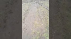 уаз 469 сила.как  резко умирает шруз на 5 шаров