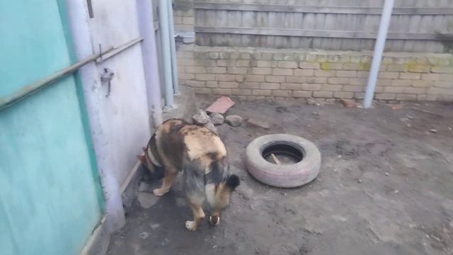 поздравление с наступающим 2024 годом смотреть онлайн