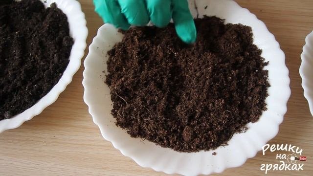 Лучший ГРУНТ для РАССАДЫ - всегда будете с УРОЖАЕМ!