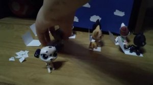 Лпс самолёт