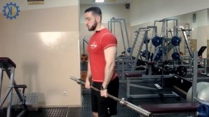 Как накачать трапецию гантелями или штангой