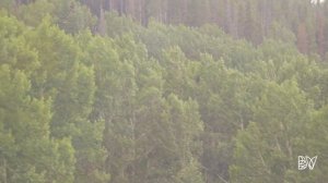 Postcard from Vail: Tango to the Top