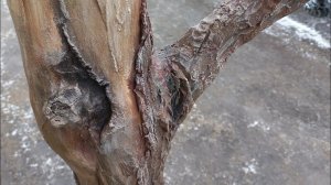 По мотивам Сальвадора Дали(часть вторая)