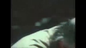 Как грузины грибы проверяли Грузия еще во времена СССР