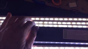 LED upgrade for Juwel Rio 240