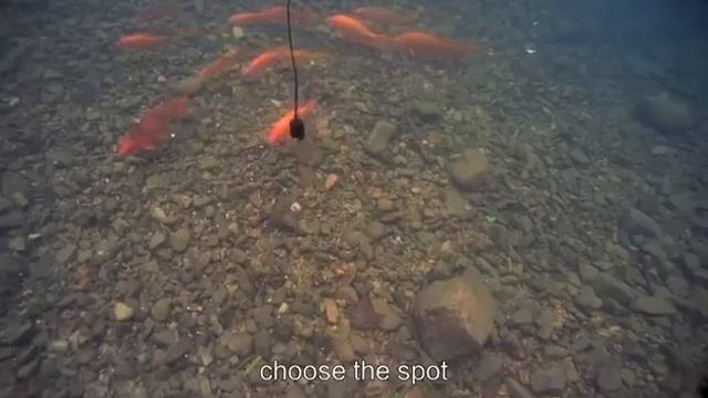 LUCKY Portable Spear Fishing Camera\ LUCKY портативная камера для подводной рыбалки смотреть онлайн