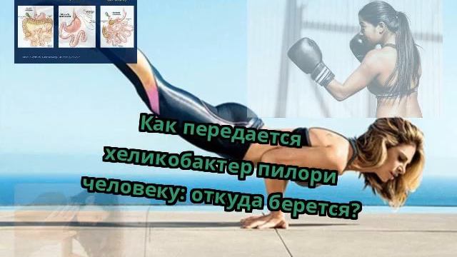 Как передается хеликобактер пилори человеку: откуда берется?