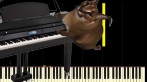 100 subscribers special! piano floppa.