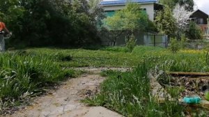 Покос травы бензотриммером.