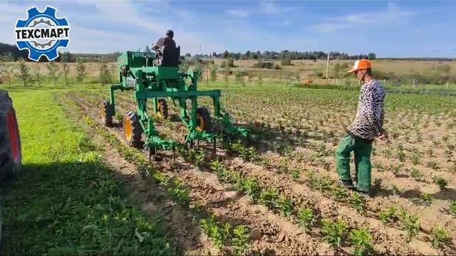 Егерь (Егорка) от AGROVEGA. Трактор с высоким клиренсом для обработки междурядий.
