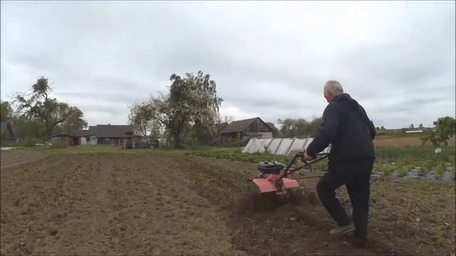 Сею люпин. смотреть онлайн