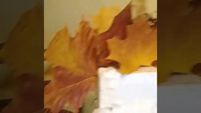 ОСЕННЯЯ ПОДЕЛКА В САД ИЗ КЛЕНОВЫХ ЛИСТЬЕВ . #СМОТРИКАКНАДО смотреть онлайн