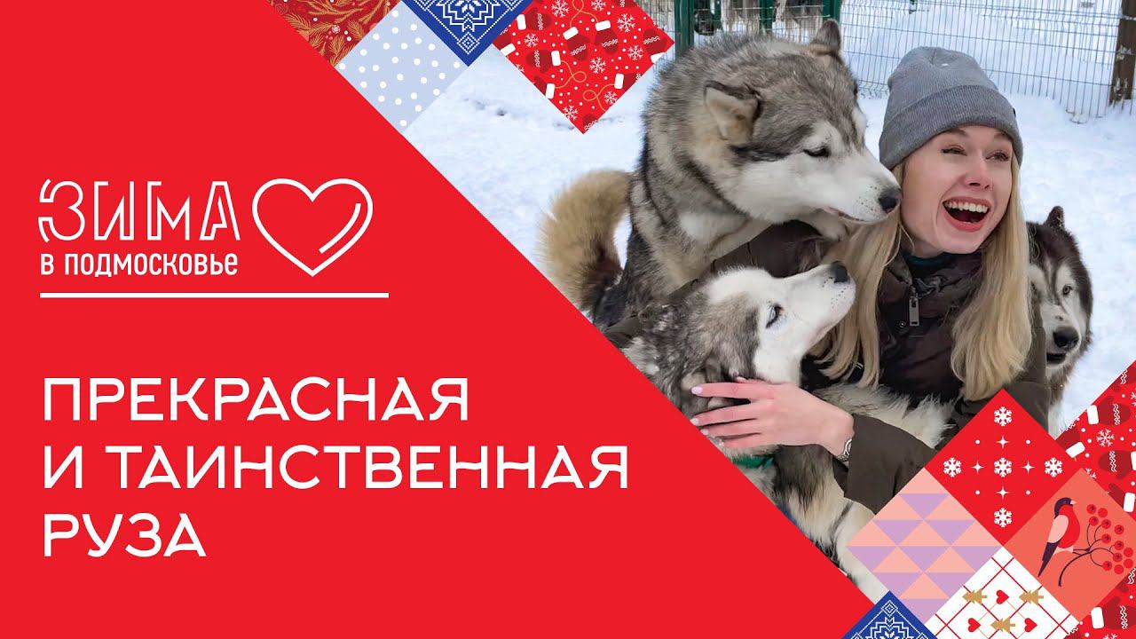 Большое путешествие по Рузе на собачьих упряжках