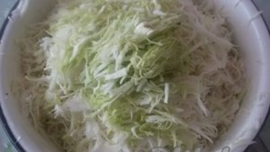 Как заквасить капусту в домашних условиях