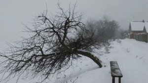 Деревня Жмуровка, ул. Набережная,  Гомельская область 2019 01 01, Республика Беларусь