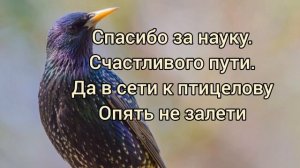 Гениальный стих. И.Франко  Сказка о глупости в переводе С.Я.Маршака