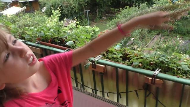 #60 ЖИТИЕ МОЕ И ОБЕД ЗА ЧАС / ХОЛЬГЕР В БОЛЬНИЧКЕ / ИЗ ЖИЗНИ КУКЛЫ ВУДУ / НЕМЕЦКИЙ ХОЛОСТЯК / VLOG смотреть онлайн