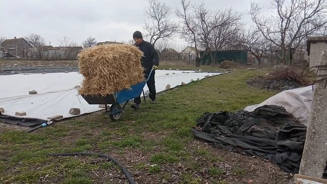 Зачем стелить солому на клубнике. смотреть онлайн