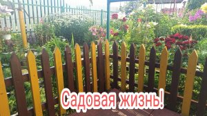 Продолжаем обустраивать свой Сад!