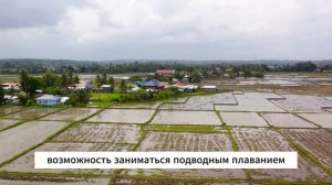 Выбор места жительства на Филиппинах