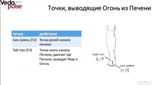 Аюрведа и ТКМ. Синдром скопления Жара и Сырости / Питта-Капха Викрити