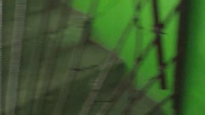 Движок — песня! | Лифт МЛЗ 1976 г. с новым купе, Г/П 320 кг, V=0,71 м/сек (г. Днепропетровск)