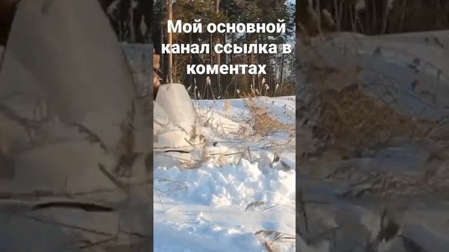 Снегаход Буран Снега По Капот