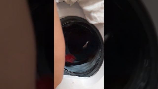 BEKO 7kg A++++++