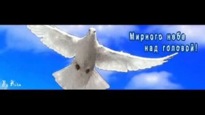 голуби вы передайте привет