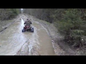 Irbis atv 250