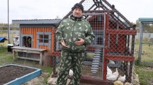 Освещение  курятника зимой.