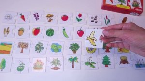 Настольная игра "Что где растет?", издательство "Дрофа-Медиа"