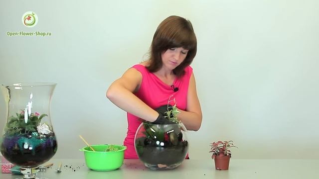 Как сделать "Флорариум" из комнатных растений. Мастер класс практической флористики.