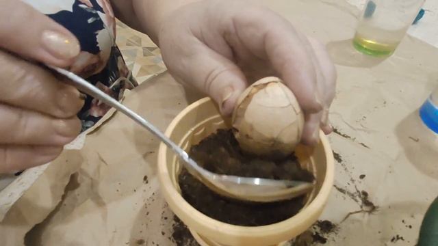 Как легко вырастить АВОКАДО из КОСТОЧКИ в домашних условиях Эксперимент удался смотреть онлайн