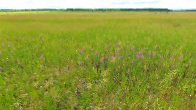 Когда начинать косить сено в поле возле деревни ч-1 Бажениты смотреть онлайн