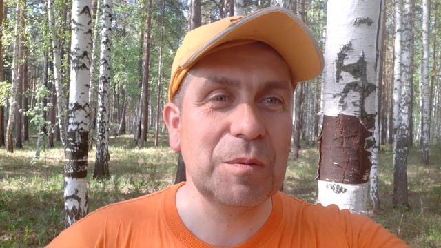 Карпы и белые амуры на поплавочную удочку!!! Рыбалка на Белоярском водохранилище. Перелив радует!!!