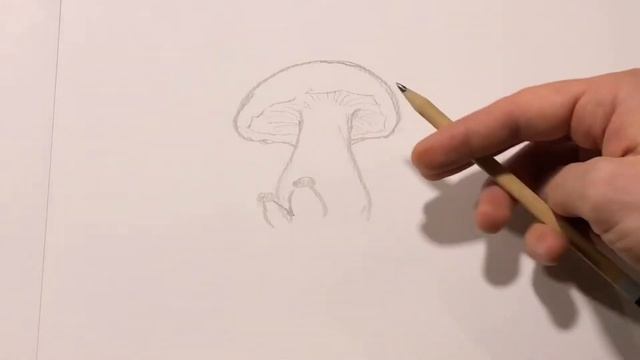 Drawing group of mushrooms with a pencil смотреть онлайн