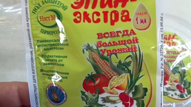 ЭФФЕКТИВНОЕ СРЕДСТВО ОБРАБОТКИ СЕМЯН И РАСТЕНИЙ - ЭПИН. Ольга Чернова. смотреть онлайн