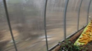 Нужно ли мыть теплицу с осени из поликарбоната