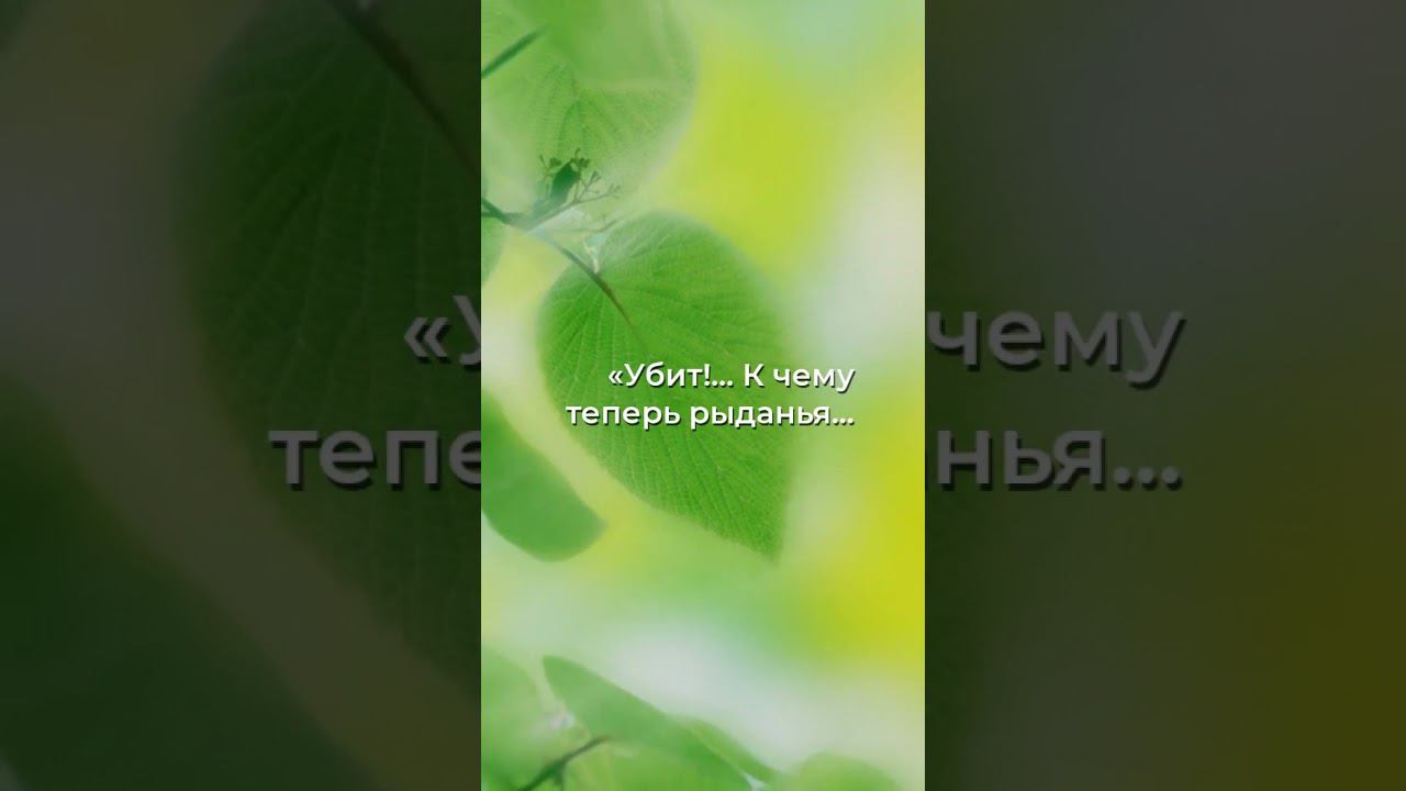 Горечь убийства: Запретный приговор