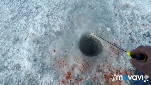 Рыбалка на Самаркандском водохранилище 29.02.2020г