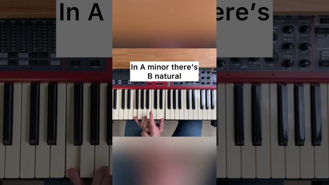 Bb or B natural?                                   #chords #harmony #musictheory #piano