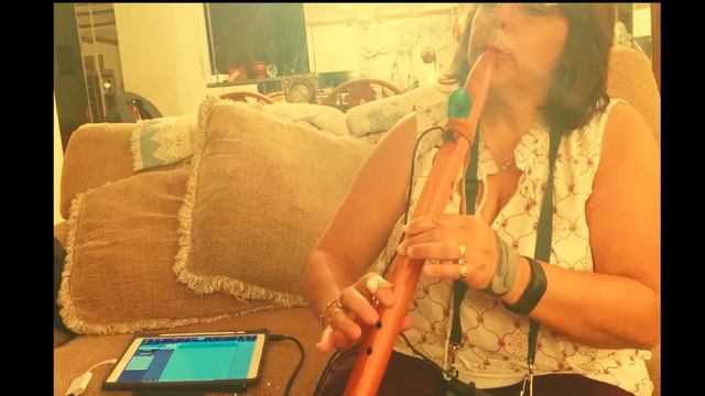 Lullaby for Suzie's Baby: Aklot Lyre Harp and Rick Heller NA flute: Maria Calfa-DePaul смотреть онлайн