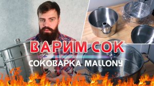 Сок из яблок и всего: обзор на соковарку Mallony