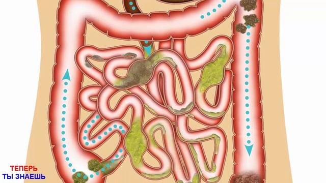 1 Ложка На Ночь Высосет Всю гадость из тела!Желудок Скажет Спасибо Даст Силу Здоровье! смотреть онлайн