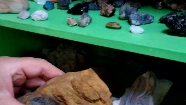 КОЛЛЕКЦИЯ ОКАМЕНЕЛОСТЕЙ И НЕ ТОЛЬКО!