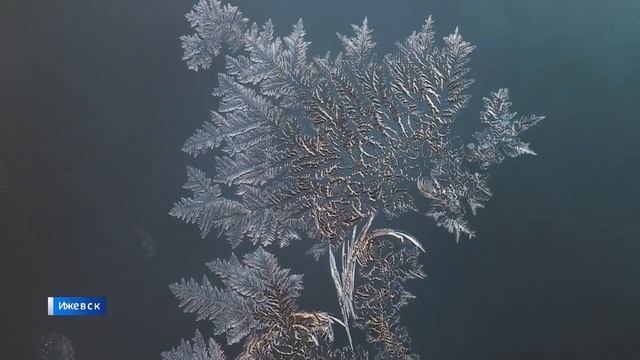 Выставка "Ледография" смотреть онлайн