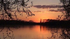 Piazzolla - Milonga del angel. Марио Стефано Петродарки - бандонеон. Дирижёр - П. Вандиловский.