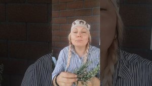 Чистка и защита. Сделайте сами скрутки легко из полыни и трав. #полынь #чистка #защита #лярвы