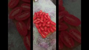 Томат выращенный из своих семян и взятых из гибрида Джек пот